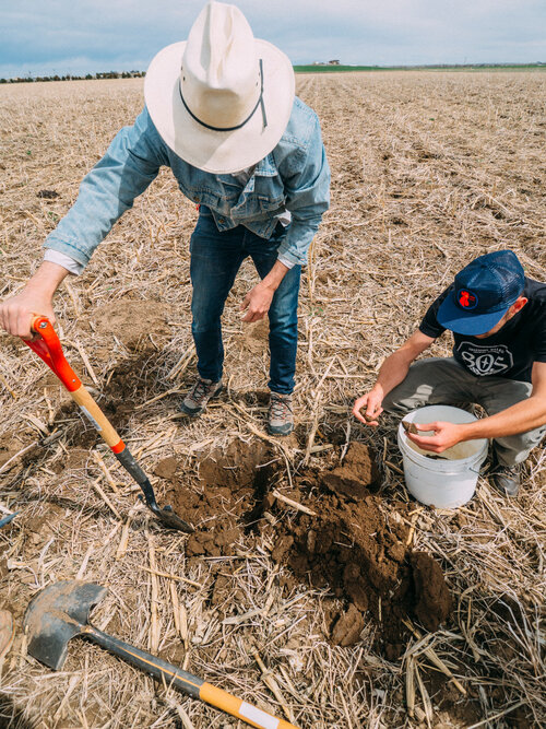 Two people digging in the soil